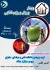 برگزاری وبینار ورزش و رژیم غذایی 2