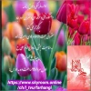 امور فرهنگی دانشکده فنی و حرفه ای دختران خرم آباد برگزارمی کند  2