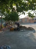 فضای سازی دور باغچه ها 3