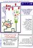 دانشگاه علامه طباطبایی برگزار می کند 
