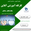 کارگاه آموزشی آنلاین (مهارتهای زندگی) 2