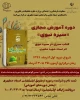 دوره آموزش مجازی سیره نبوی 2