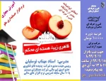 دوره آموزشی نرم افزار هلو با حضور استاد برجسته خانم توسلیان با اعطای مدرک معتبر از دانشگاه فنی و حرفه ای 2