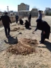 روز درختکاری و منابع طبیعی گرامی 6