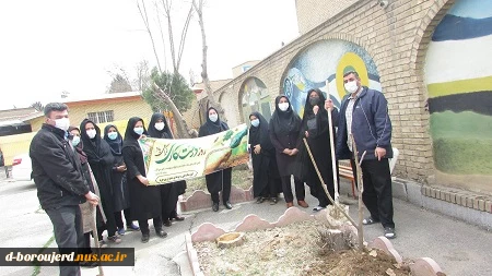 ´برگزاری آئین روز درختکاری در آموزشکده فنی وحرفه ای دختران بروجرد 2