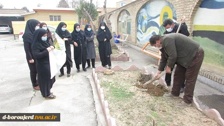 ´برگزاری آئین روز درختکاری در آموزشکده فنی وحرفه ای دختران بروجرد 3