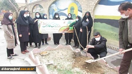 ´برگزاری آئین روز درختکاری در آموزشکده فنی وحرفه ای دختران بروجرد 4