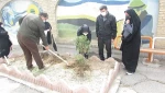 ´برگزاری آئین روز درختکاری در آموزشکده فنی وحرفه ای دختران بروجرد 5