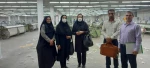 بازدید رئیس آموزشکده فنی و حرفه ای دختران بروجرد، اساتید هیات علمی و کارکنان دانشگاه فنی و حرفه ای استان لرستان از کارخانجات نساجی شهرستان بروجرد 3