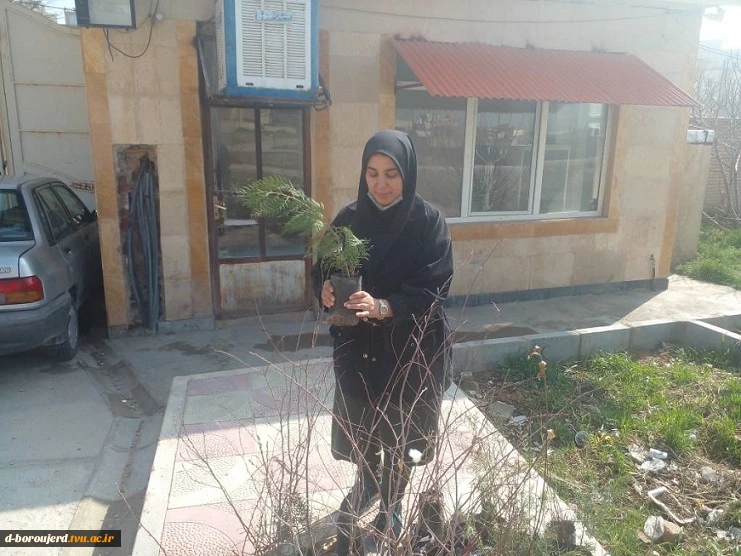 کاشت نهال در خوابگاه آموزشکده به منظور پاسداشت روز درختکاری و هفته منابع طبیعی 2