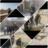 کاشت نهال در خوابگاه آموزشکده به منظور پاسداشت روز درختکاری و هفته منابع طبیعی 5