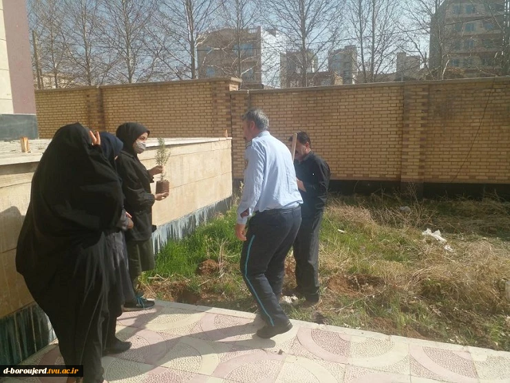 کاشت نهال در خوابگاه آموزشکده به منظور پاسداشت روز درختکاری و هفته منابع طبیعی 6