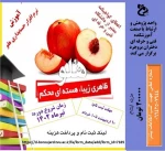 آموزش نرم افزار حسابداری هلو 2
