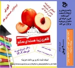 آموزش مجازی هلو 2